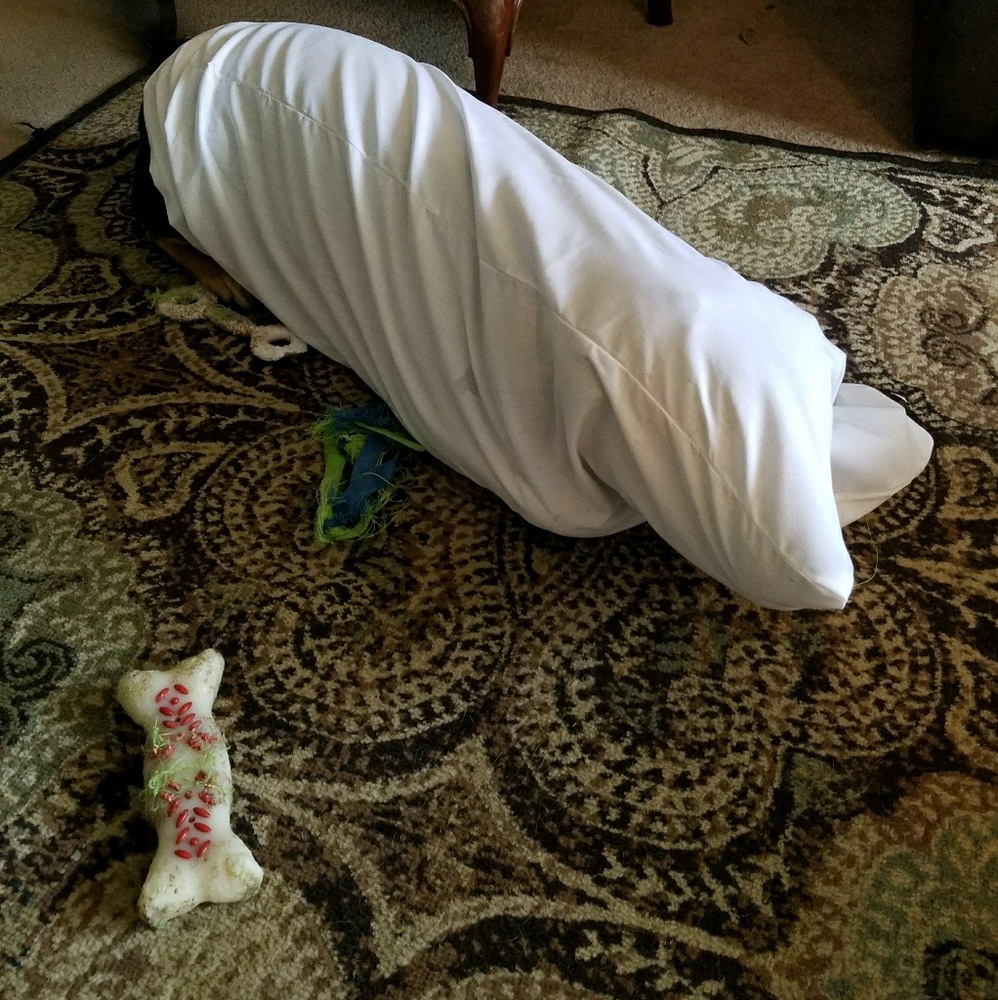 Meet your Posher, Steven